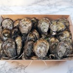 24 Oysters – The Doubly Decadent Two Dozen