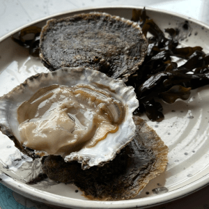 Native Foyle Oysters – Dozen Box
